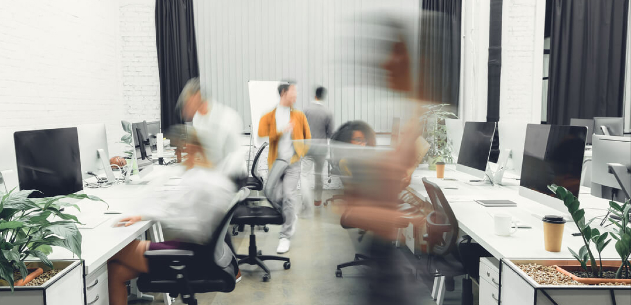 Squirracode Technologies